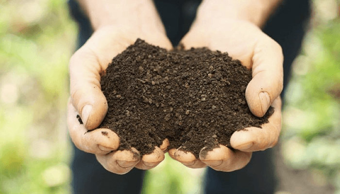 Conheca os principais tipos de solo e suas fundacoes mais aconselhaveis